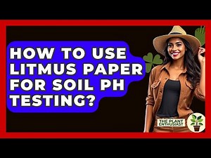How To Use Litmus Paper For Soil PH Testing? - The Plant Enthusiast