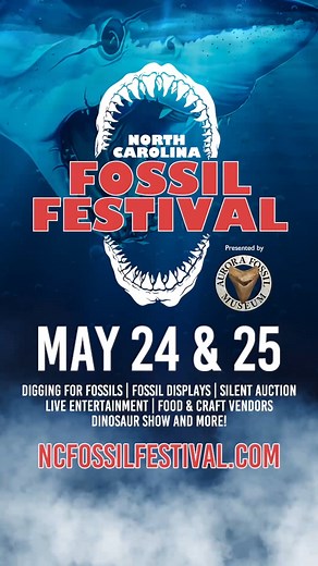 Experience the excitement of the upcoming North Carolina Fossil Festival, happening May 24–25, 2025, in Aurora, NC! This FREE, family-friendly event celebrates the rich fossil heritage of North Carolina with activities like fossil digging, live entertainment, educational exhibits, and more.​ 🎬 Check out our video to see what's in store. For more details and the full festival schedule, visit ncfossilfest.com. #NCFossilFestival #NCFF25 #FossilFest2025 #AuroraNC #DigAurora #AuroraFossilMuseum #AFM