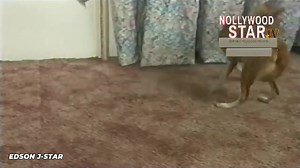 261K views · 13K reactions | 3 Filmes nigerianos que deram muito medo nos anos 90 e 2000 em Angola.(Recordar é viver) #Angolanos #recordar_é_viver #angolaluanda #edsonjstar | Edson, o caçador de relíquias | Facebook