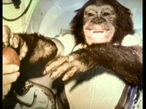 Белка, Стрелка и другие 2009