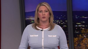 Veterans Day celebration honors those who serve | 28/22 News