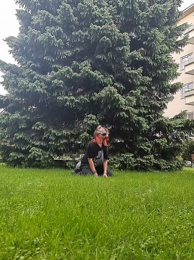Exploring Therianthropy and Nature Connection