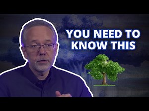 Are there Sacred Trees in the Bible?