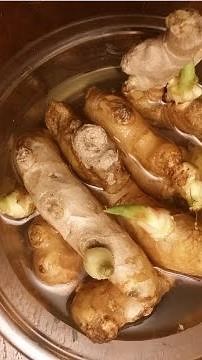 Grow ginger quick!