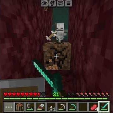 minecraft nether skeleton fight #minecraftsurvivalseriesepisode #2 #minecraft