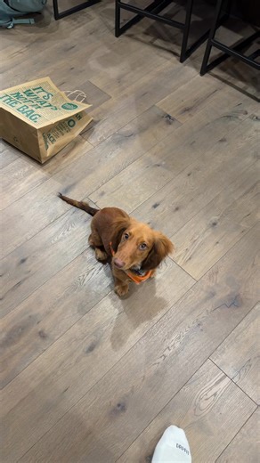 I miss my little man | little man