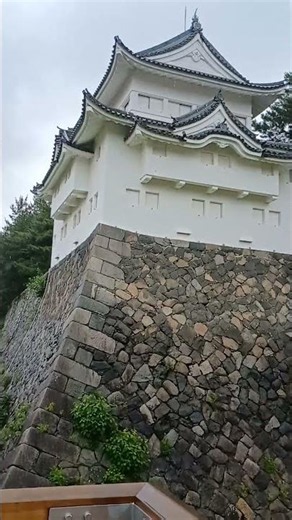 #散策 名古屋城#