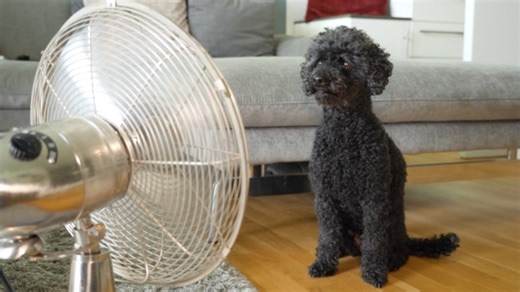 2.1K views | It may be time to upgrade your home heating and cooling system! Check out the Mass Save Heating Comparison Calculator for a personalized look at whether you could be saving money with a new system, and which high-efficiency heat pump system is the best fit for your household: https://www.masssave.com/en/residential/heating-comparison-calculator | Mass Save | Facebook