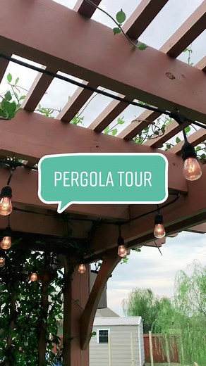 Exploring Pergola Designs for Your Backyard Oasis