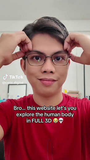 Explore the Human Body in Interactive 3D