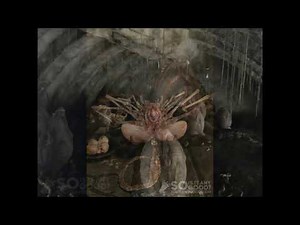 LEAKED ALIEN: COVENANT IMAGES GIVE US THE FIRST LOOK AT THE NEW XENOMORPHS [SPOILERS]