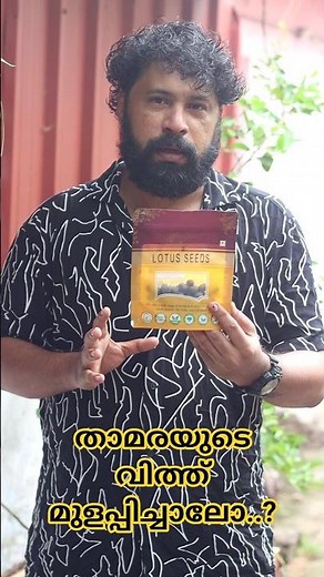 How to grow Lotus from seeds / Lotus seeds Germination / How to germinate lotus seeds..?