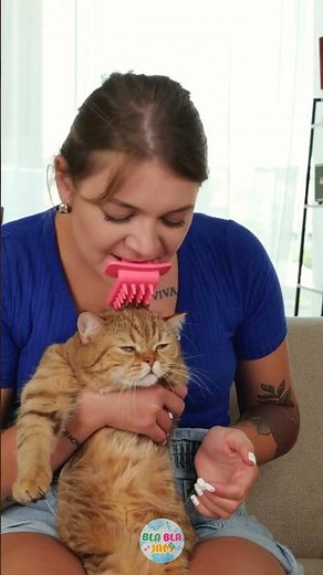 This Funny Gadget Will Keep Your Cat Entertained! 🐱😂