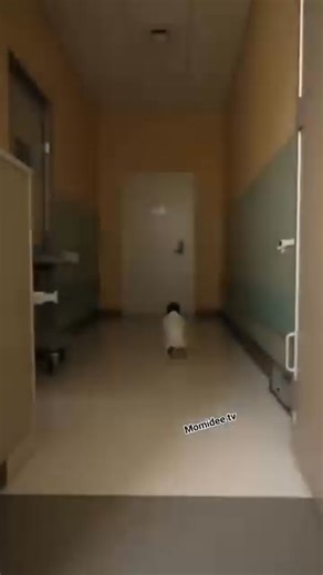 162K views · 1.4K reactions |  Very Funny! | Rivers Mirror | Facebook