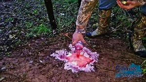 2.8K views · 28 reactions | Introducing Buck Eruption Instantly Activated Attractant and Mineral Lick! We apply our first batch of Apple Peanut Butter and give it the 24 hours test! *Want some? Email outinthebg@gmail.com for Field Staff information! #outinthebg - with Academy Sports + Outdoors & Realtree Outdoors® | Then&Now Outdoors | Facebook