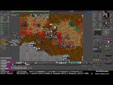 Tibia Real/Global 290+ Level Royal Paladin Live Stream! Gold Farming for Rending Inferniarch Bow #1