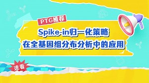 Spike-in归一化策略在全基因组分布分析中的应用