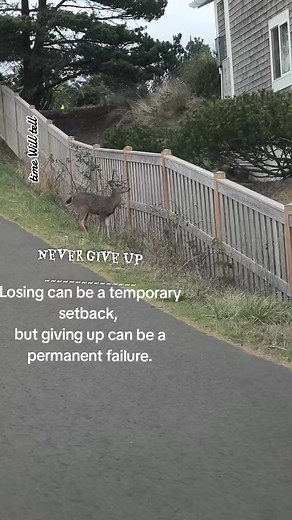 Embracing Failure as a Step to Success