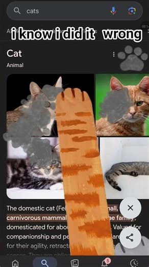 cats tutorial