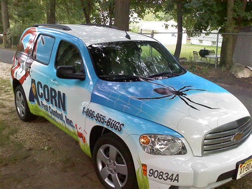 Acorn Pest Control | Wayne NJ