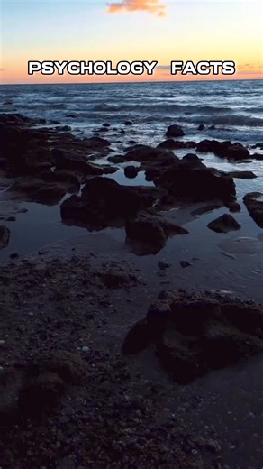 19K views · 377 reactions | people are generally more honest when physically tired, this is why… #psychologyfacts #reels #fbreels #foryoupage #followformore #factsvideos #foryou | Facts Videos | Facebook