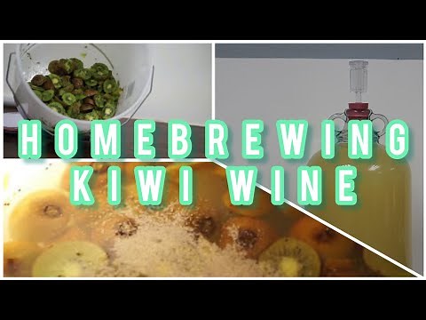 How to make homemade country wine (Kiwi WIne) - Homebrew Wednesday Ep 2