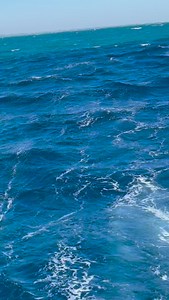 Good stuff today. Raised 20 on the troll while bait and switch fly fishing. | Off The Chain Fishing Charters, Fishing Charters in Stuart Fl