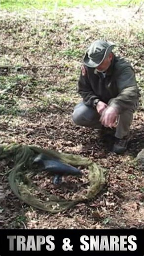 I Made a Bird Trap from a Mosquito Net