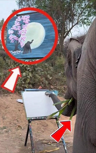 famous Painter elephant in Thailand. #elephant