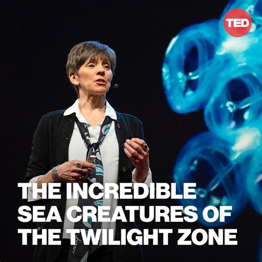 112K views · 1.6K reactions | The ocean has a twilight zone — and...