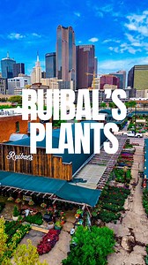 ✨ Find Everything You Need for Spring Planting & Lush Floral Aesthetics at the Most Iconic Nursery in Dallas! ✨ @ruibalsplants has been a Dallas staple for 40 years! Offering an incredible selection of plants, unparalleled service, and a stunning setting, Ruibals is a must-visit destination for any garden enthusiast or fan of florals. Why You’ll Love Ruibals Plants of Texas: 📍 4 Convenient Dallas Locations 💐 Curated Annual Spring Selections 🪴 Customizable Planting Station 🌸 Massive Variety o