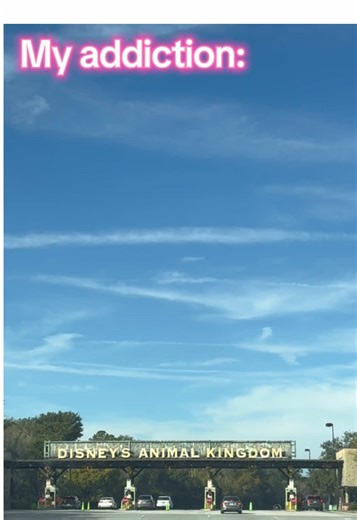 What can I say I am addicted to #disney I am a #disneyadult that loves the #disneyvibes and create #disneycontent and #2026 you will see a lot of it 🤪