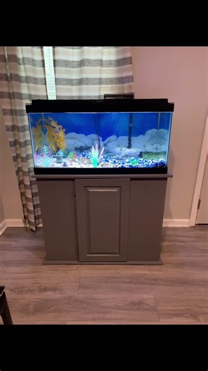 Just me creating peaceful little ecosystems 🐠✨Aquarium therapy is real #Aquaspace #FishTankVibes