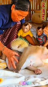 Strange BB | Fresh diy