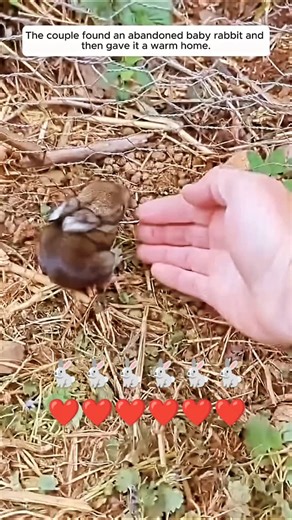 58K views · 1.8K reactions |...