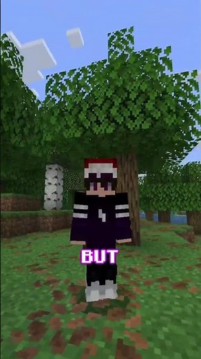 Who Was The First Player in Minecraft? #minecraft