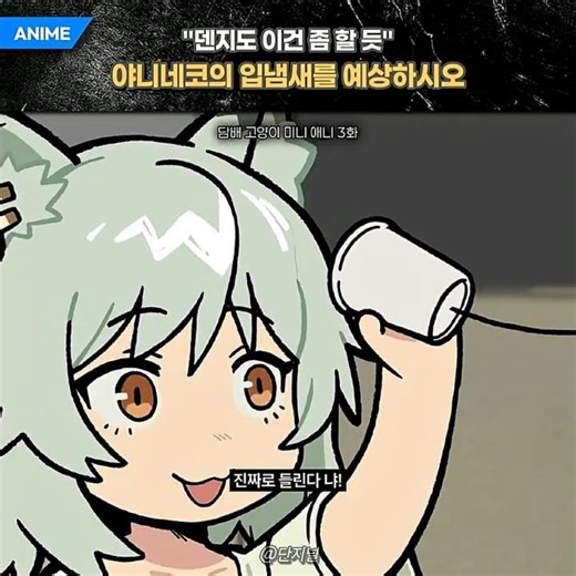 곧 뒤질 거 같은 담배 고양이의 일상 패턴