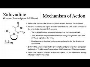 Pharmacology of Zidovudine ; Clinical uses, Mechanism of action and Side effects