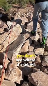 587K views · 2.3K reactions | No one could have predicted this outcome in a million years.  This original video was produced by Network Media and Tony H | Sin City Scandals | Facebook