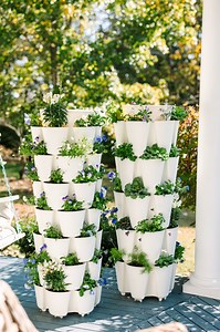 GREENSTALK Vertical Gardens: https://greenstalkgarden.com/?rstr=SHOP1870 (Promo Code SHOP1870 for $10 off!) | That 1870's Homestead