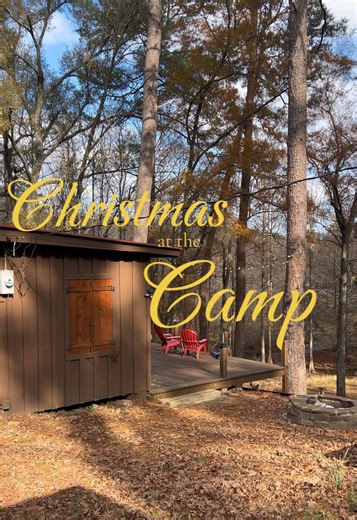 Charlie Brown Christmas Tree Ideas for a Rustic Holiday