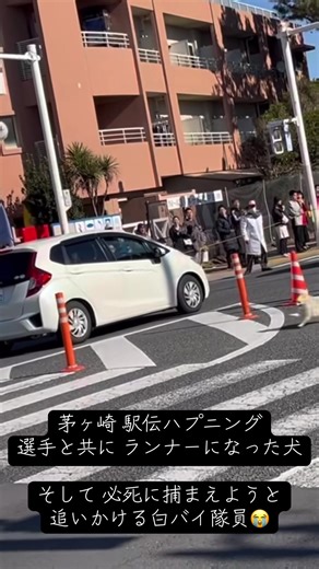 箱根駅伝のハプニング：犬の乱入と白バイ隊員