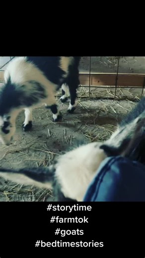 Angie Woods (@angiedwoo)’s videos with original sound - Angie Woods