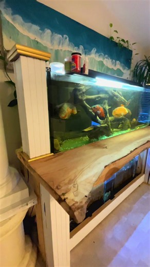 Creative Tank Surround with Live Edge Materials