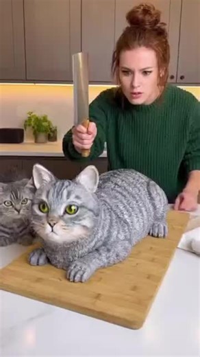 OMG😱#trending #fpy #viral #foryoupage #catlover