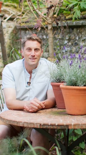 30K views · 316 reactions | What problems have you run into when growing herbs? Tom Brown, head gardener at West Dean Gardens, shares some of the common mistakes people make – and how to avoid them. #GrowingHerbs #Herbs #Gardening #NewGarden #BeginnerGardener | BBC Gardeners' World Magazine | Facebook
