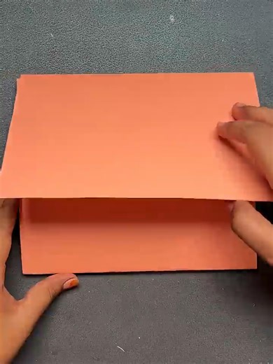 DIY Hair Clip Craft vs. Document Folder Challenge