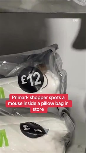 Mouse Spotted Inside Pillow Bag at Primark