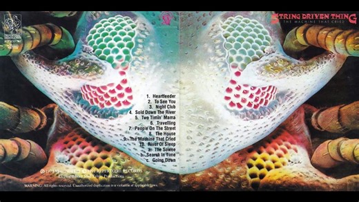 STRING DRIVEN THING...01 - Heartfeeder