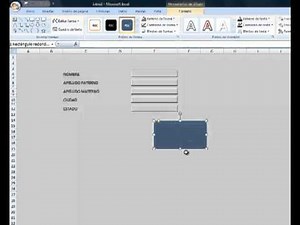 CREAR FORMULARIO EN EXCEL 2007